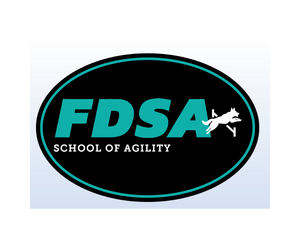 FDSA Car Magnet